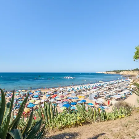 4 Bdr Flat With Balcony In Armacao By Lovelystay Apartment *